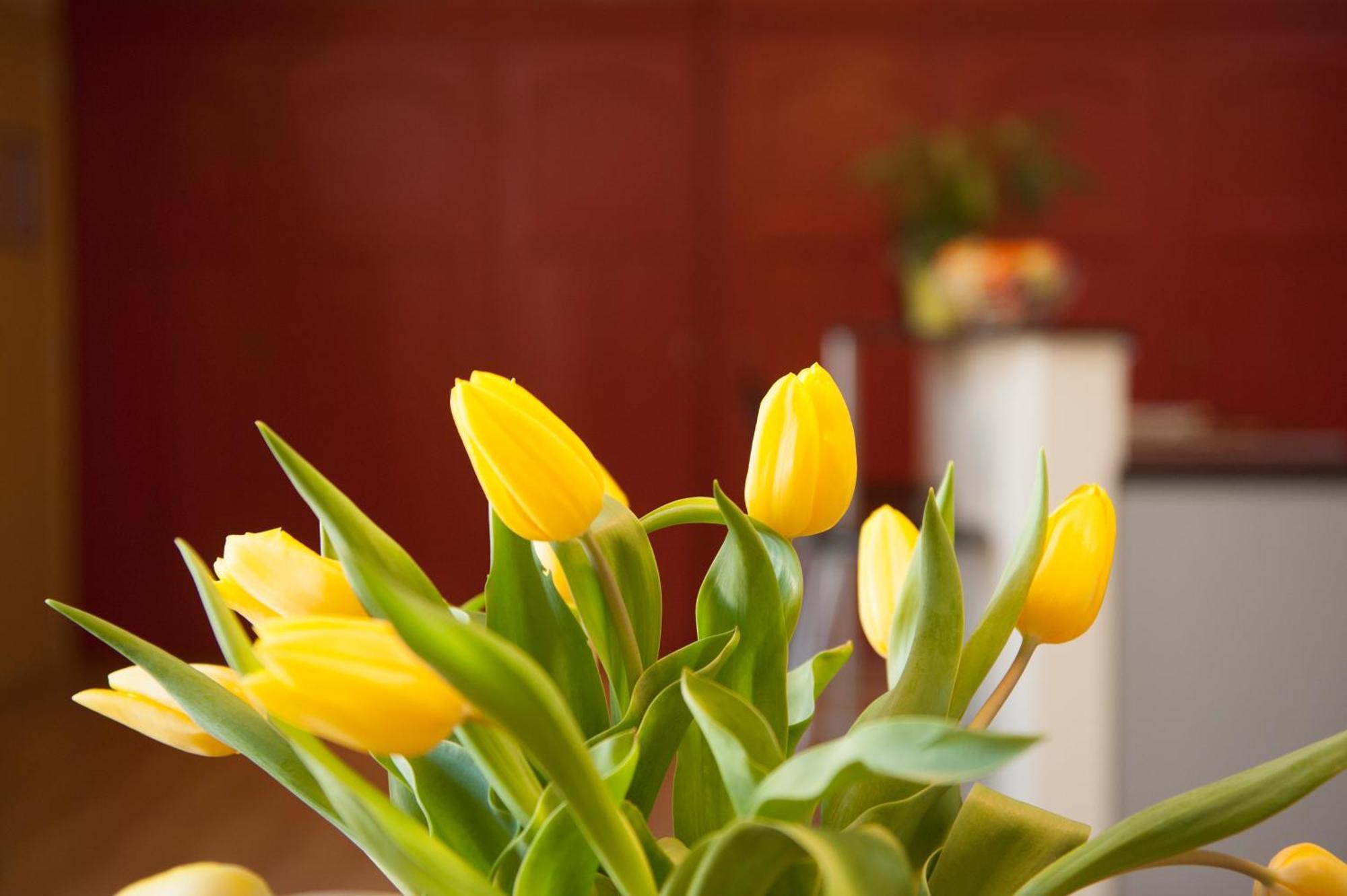 De Drie Koningen Apartment Bruges Room photo